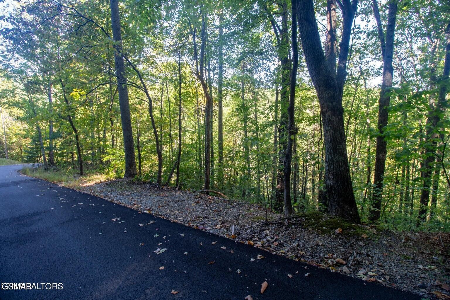 9 Wildcat Ridge Road Sevierville, TN 37862 - Photo 7 of 14 Gallery Image 7