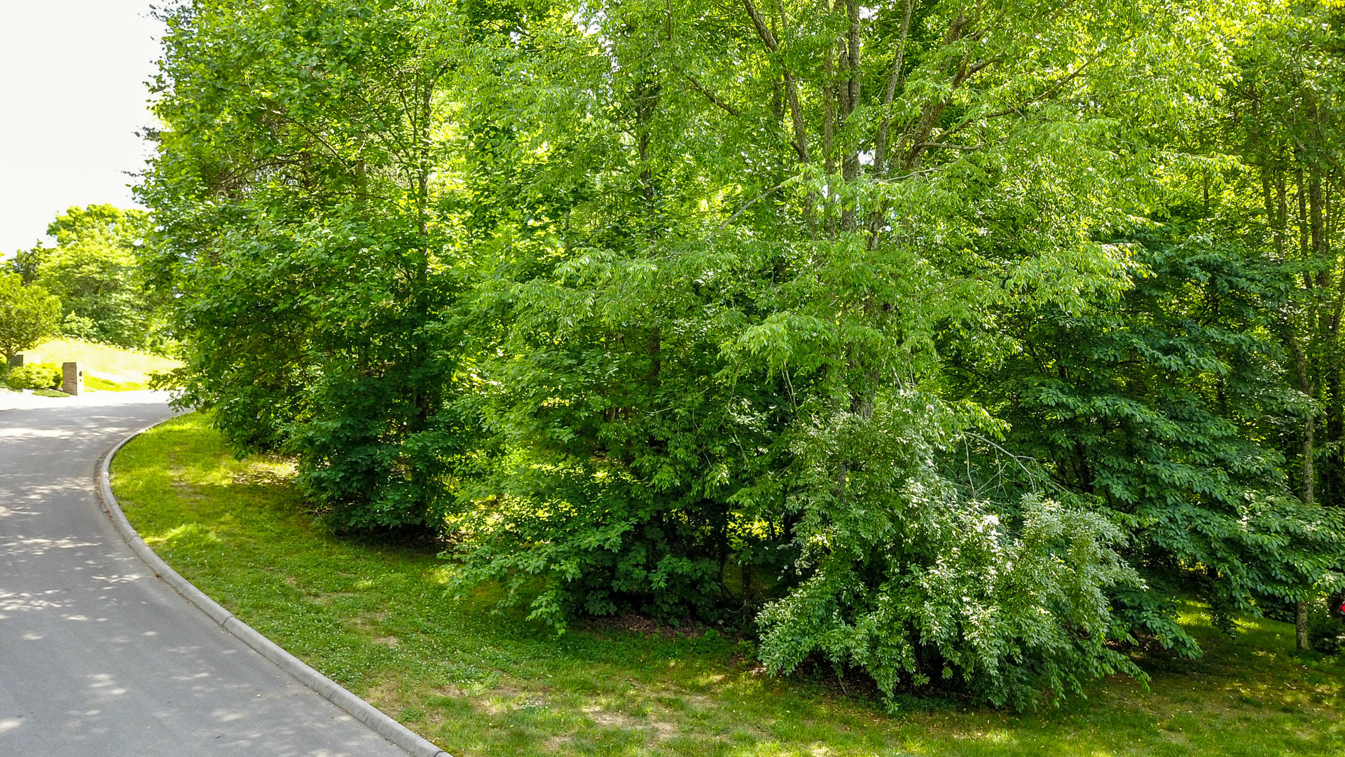 Lot access from the road