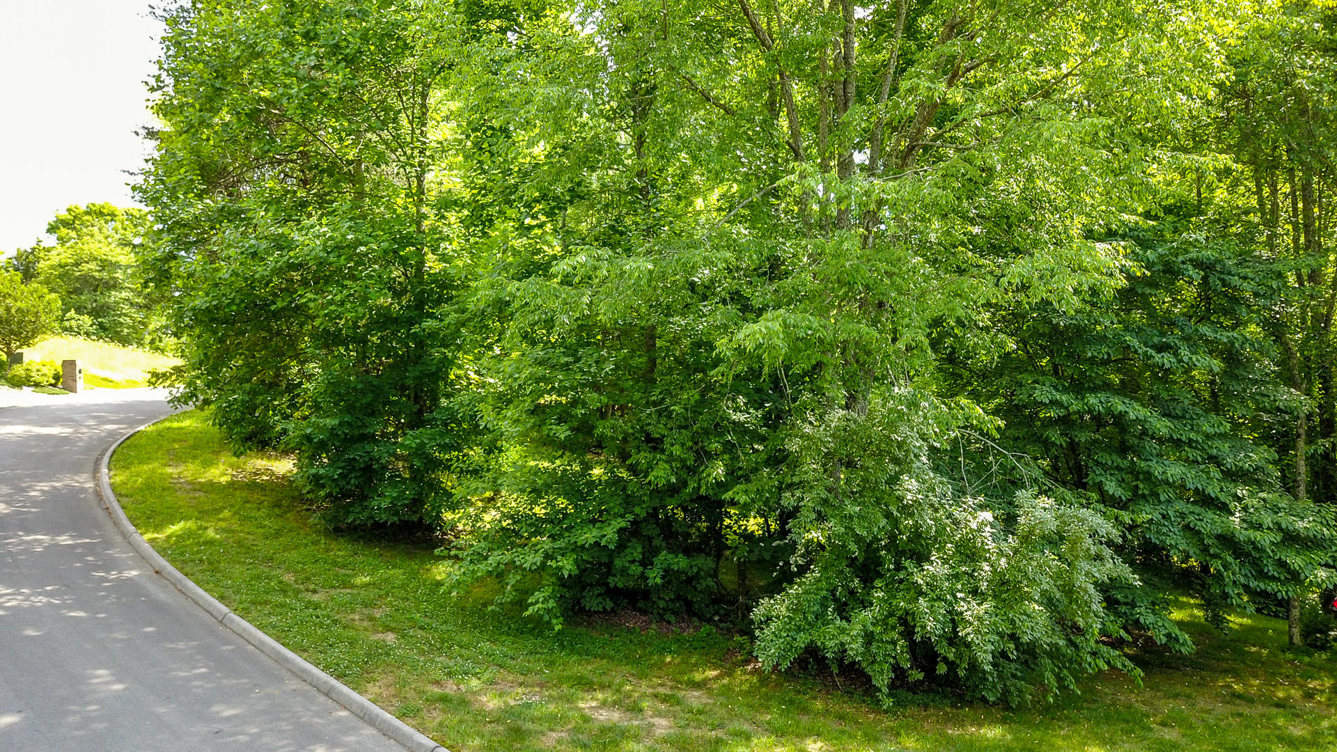 185 Hughes Road Greenback, TN 37742 - Photo 6 of 7 DSC1725-21