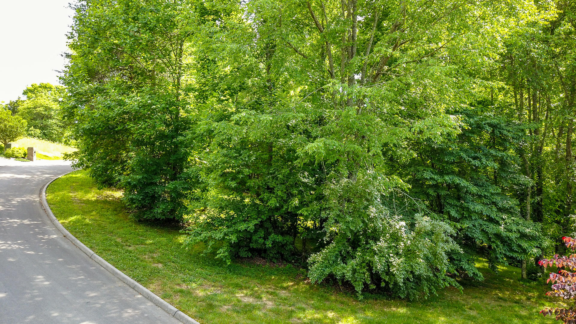 185 Hughes Road Greenback, TN 37742 - Photo 7 of 7 DSC1725-22