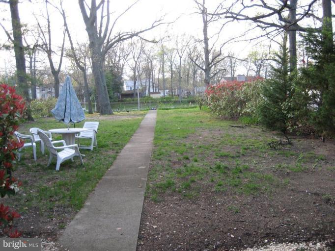 1028 Shore Acres Road Arnold, MD 21012 - Photo 2 of 10 Back yard