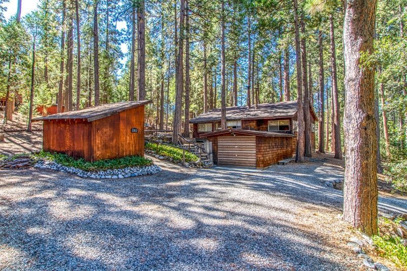 27401 Saunders Meadow Road Idyllwild, CA 92549 - Photo 3 of 37 a view of a backyard with plants and large trees