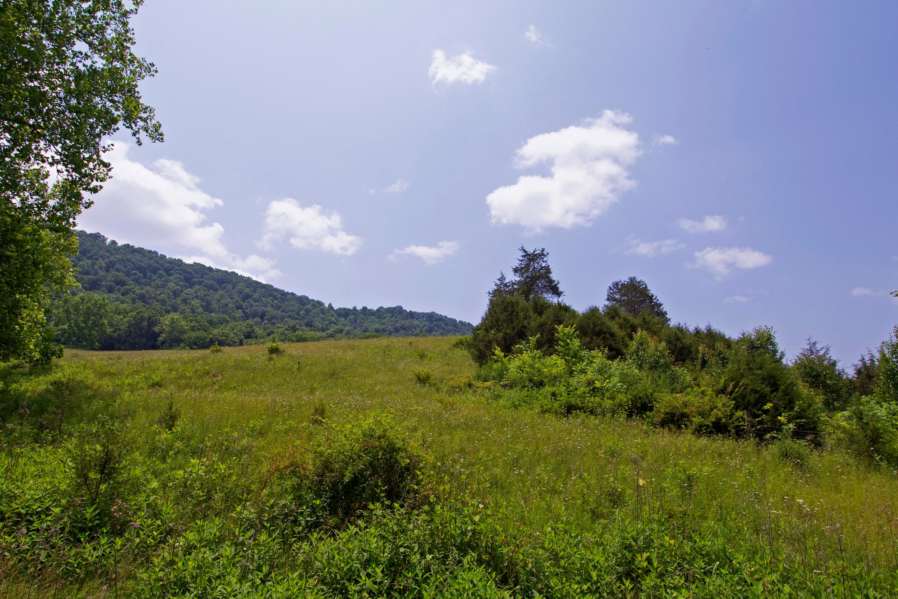 106 Creamery Road Pence Springs, WV 24962 - Photo 134 of 153 Gallery Image 134