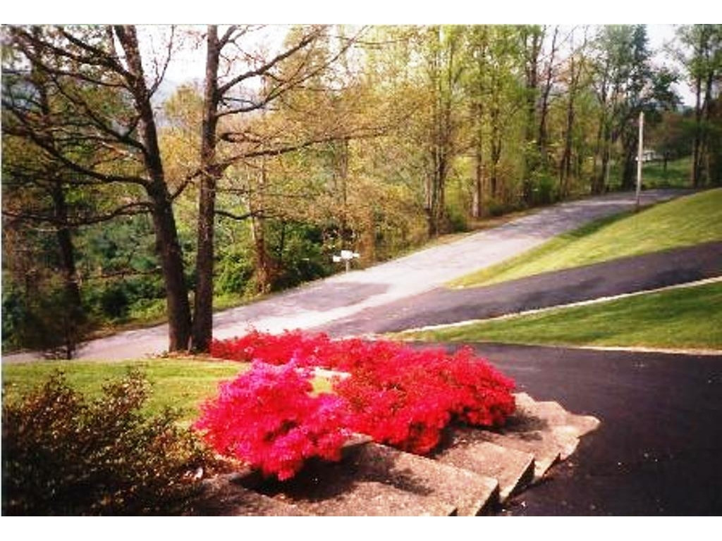 315 Fishery Loop Road Erwin, TN 37650 - Photo 3 of 24 Photo 3