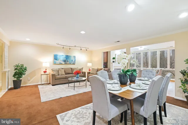 a living room with furniture potted plant and windows