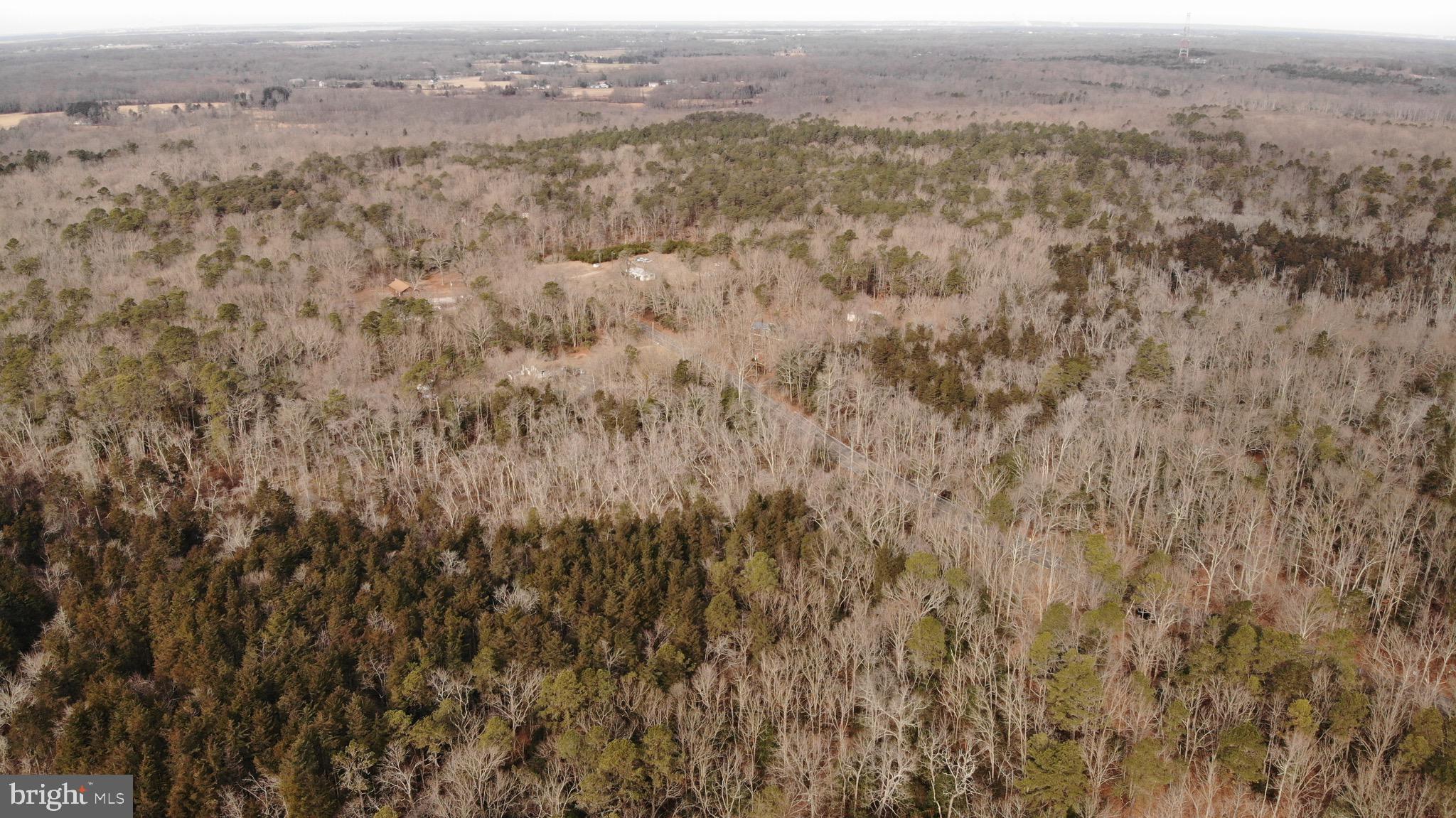 an aerial view of houses covered in trees