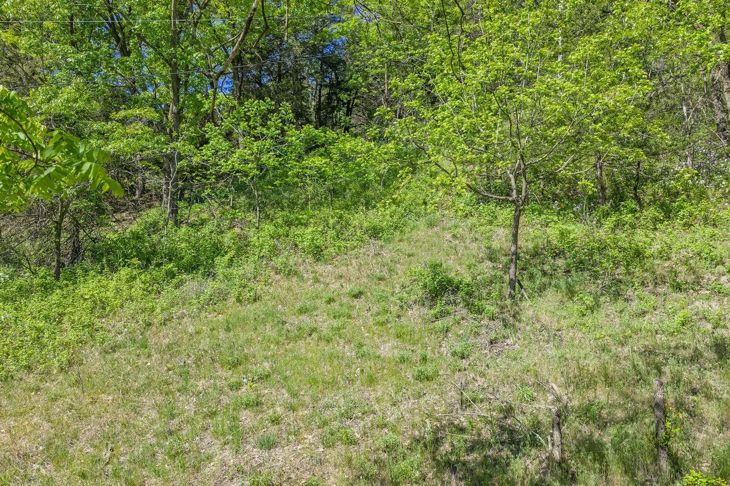 N2301 Cactus Acres Lodi, WI 53555 - Photo 14 of 17