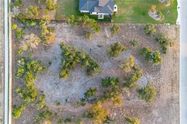 a view of yard with large trees