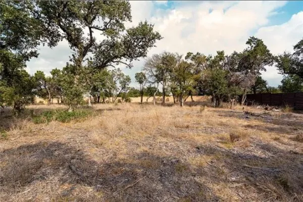 a view of a forest with trees in the background