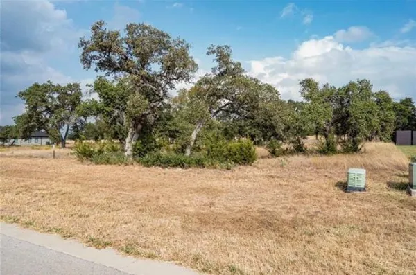 a view of dirt yard with a large tree