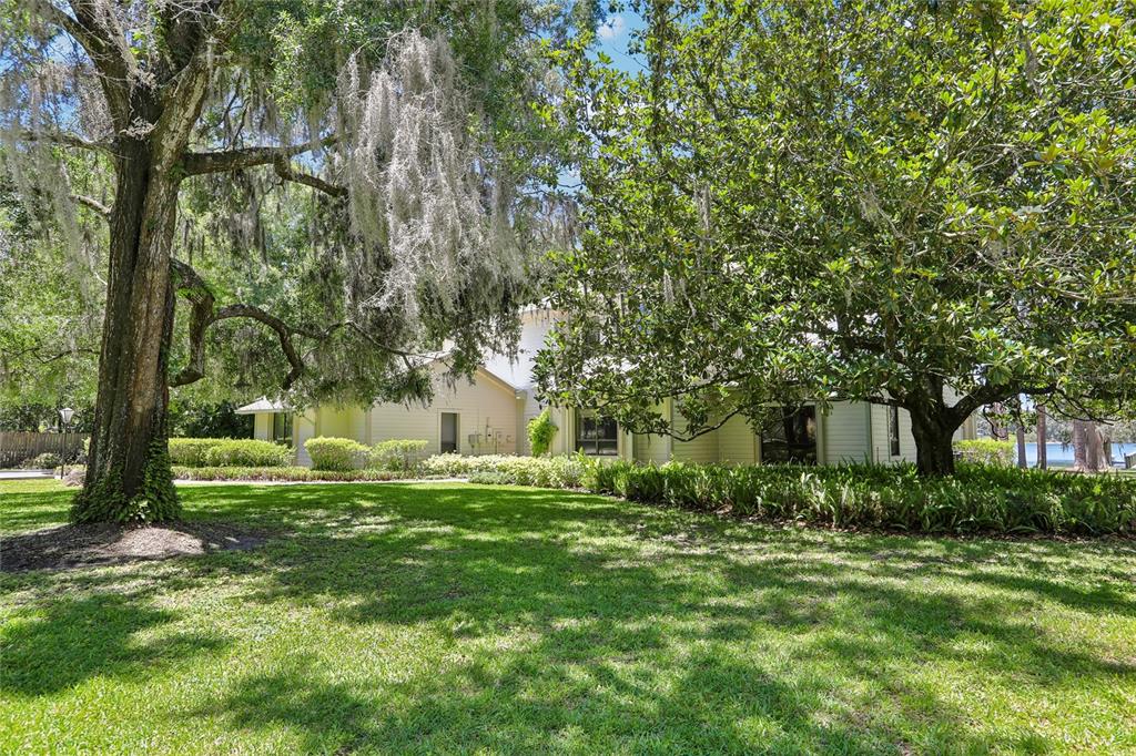 17810 Crawley Road Odessa, FL 33556 - Photo 63 of 76 a backyard of a house with plants and large trees