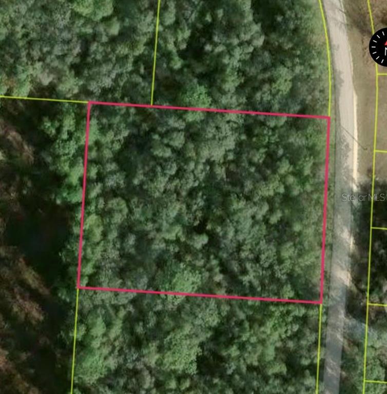 34253 Berryhill Drive Webster, FL 33597 - Photo 2 of 3