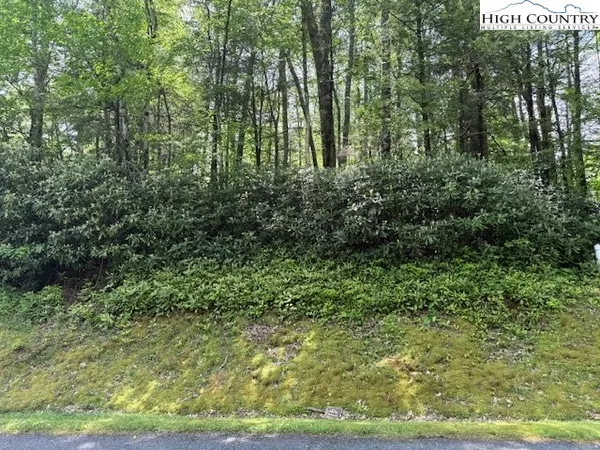$54,000 | Lot 42 Linville River Lane, Linville, NC 28646