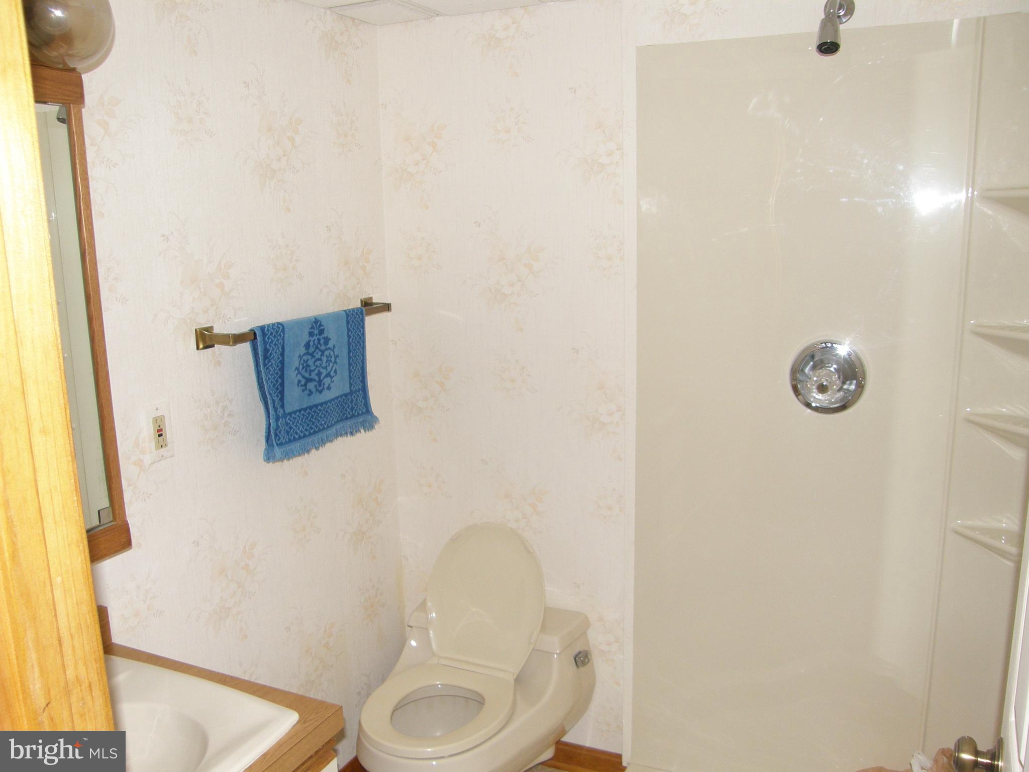 44890 Clarks Mill Road Hollywood, MD 20636 - Photo 24 of 36 Basement Bathroom
