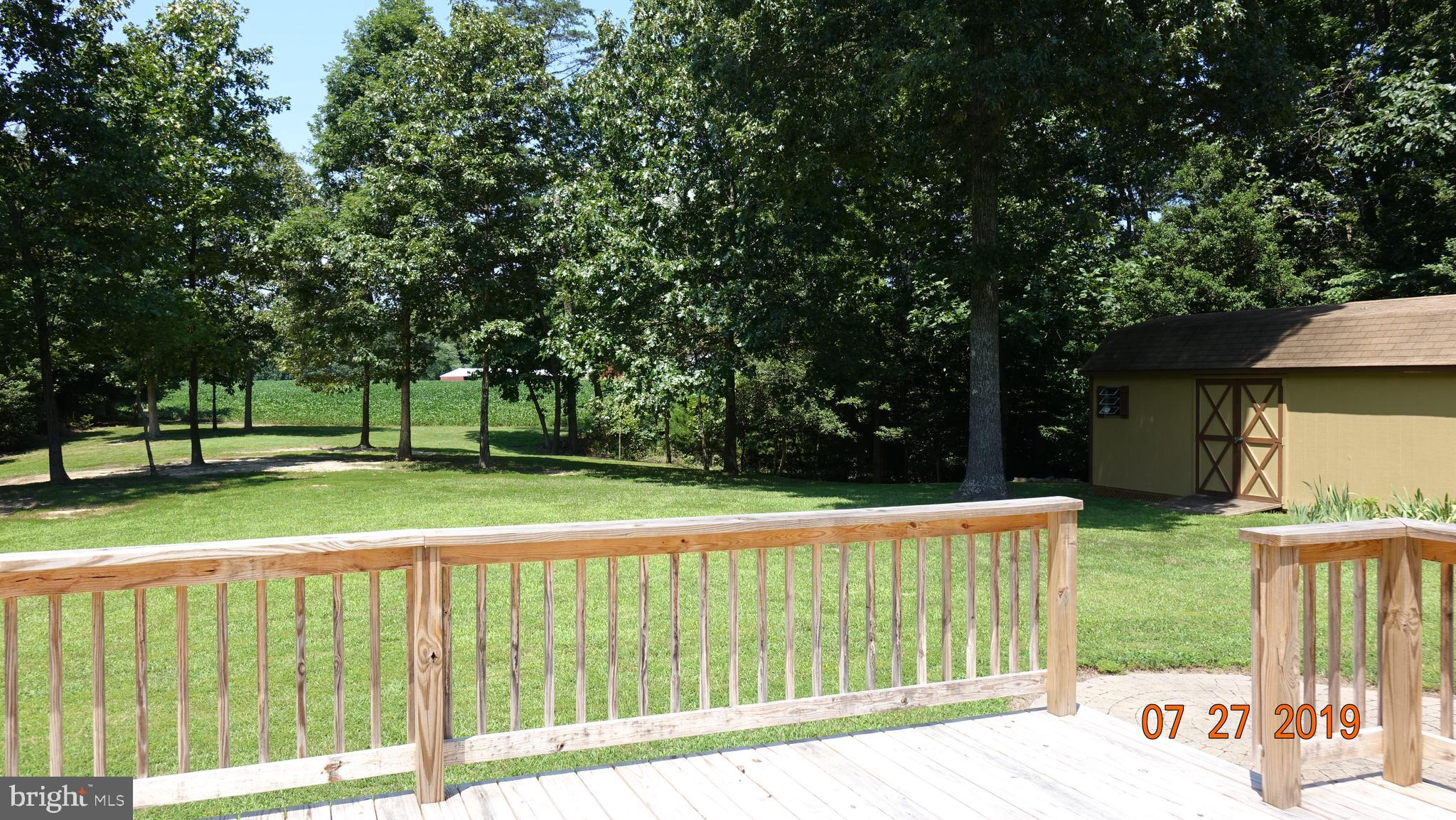 Deck and back yard