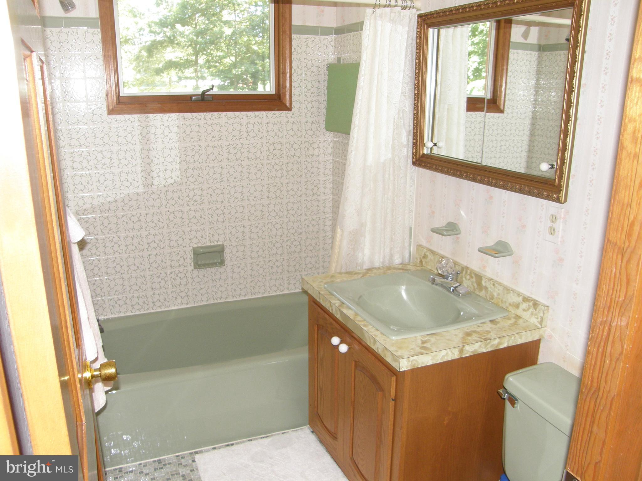 44890 Clarks Mill Road Hollywood, MD 20636 - Photo 10 of 36 Hall Bathroom