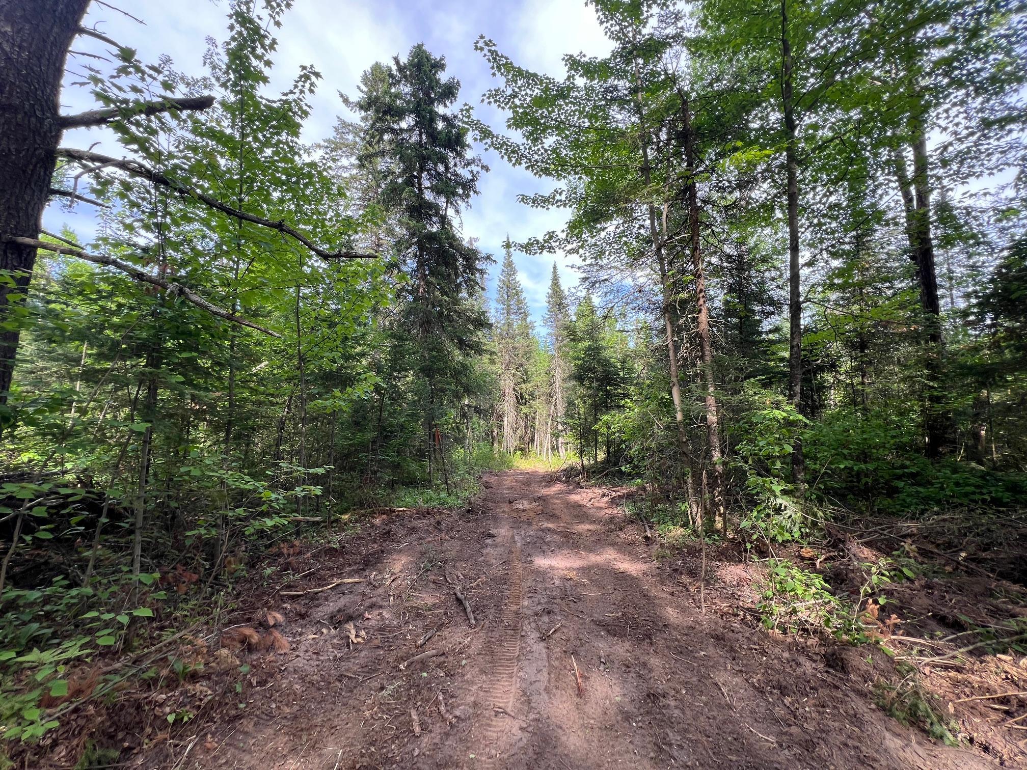 Lot 1 Smith Road North Couderay, WI 54828 - Photo 21 of 29