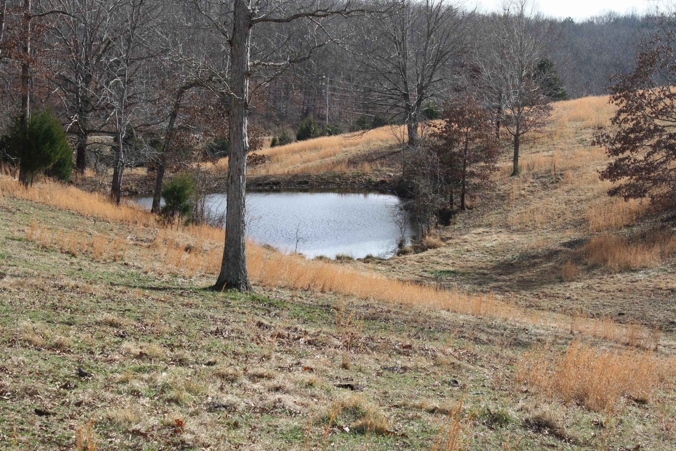 3941 Bold Springs Road McEwen, TN 37101 - Photo 22 of 29 Gallery Image 22