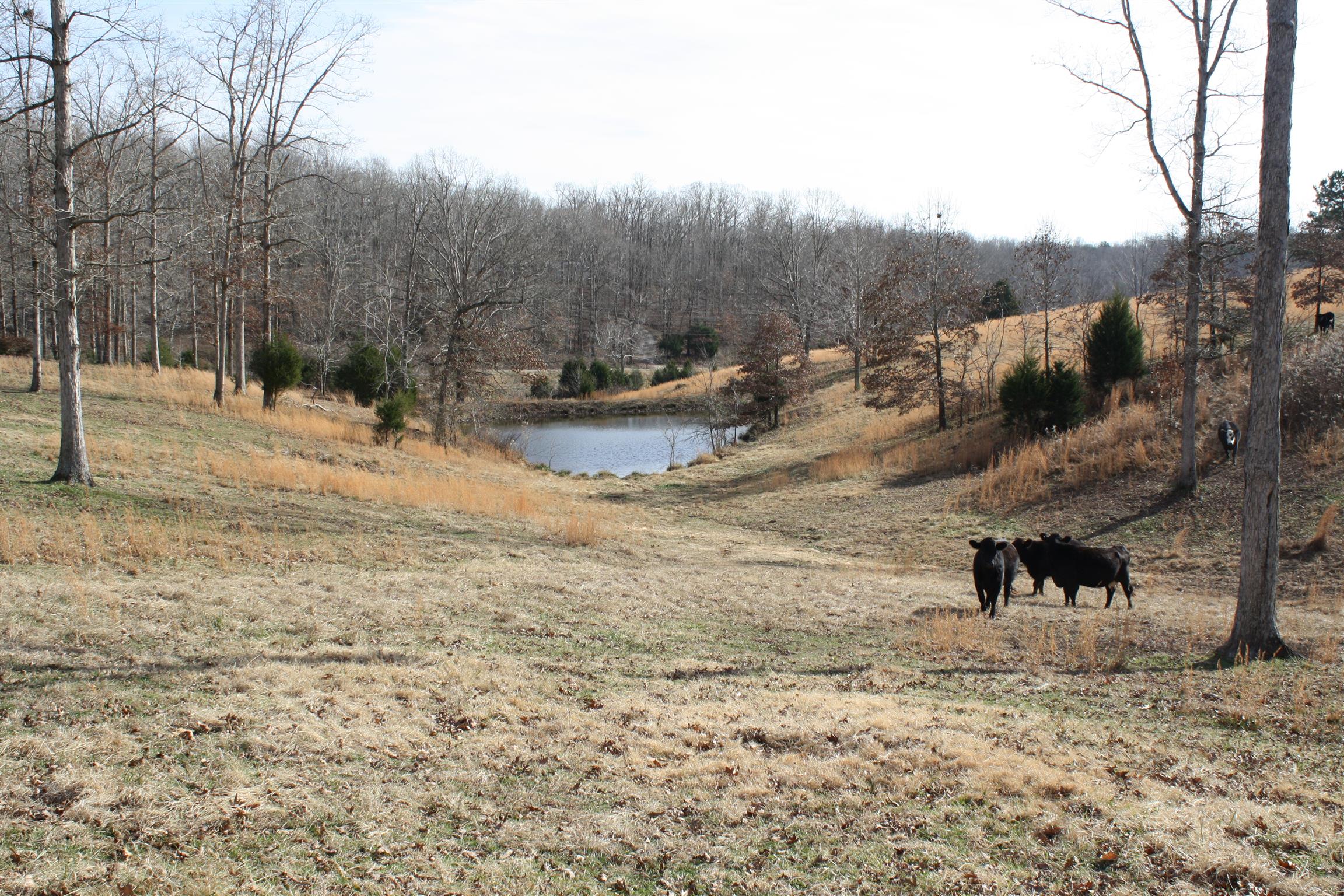 3941 Bold Springs Road McEwen, TN 37101 - Photo 24 of 29 Gallery Image 24