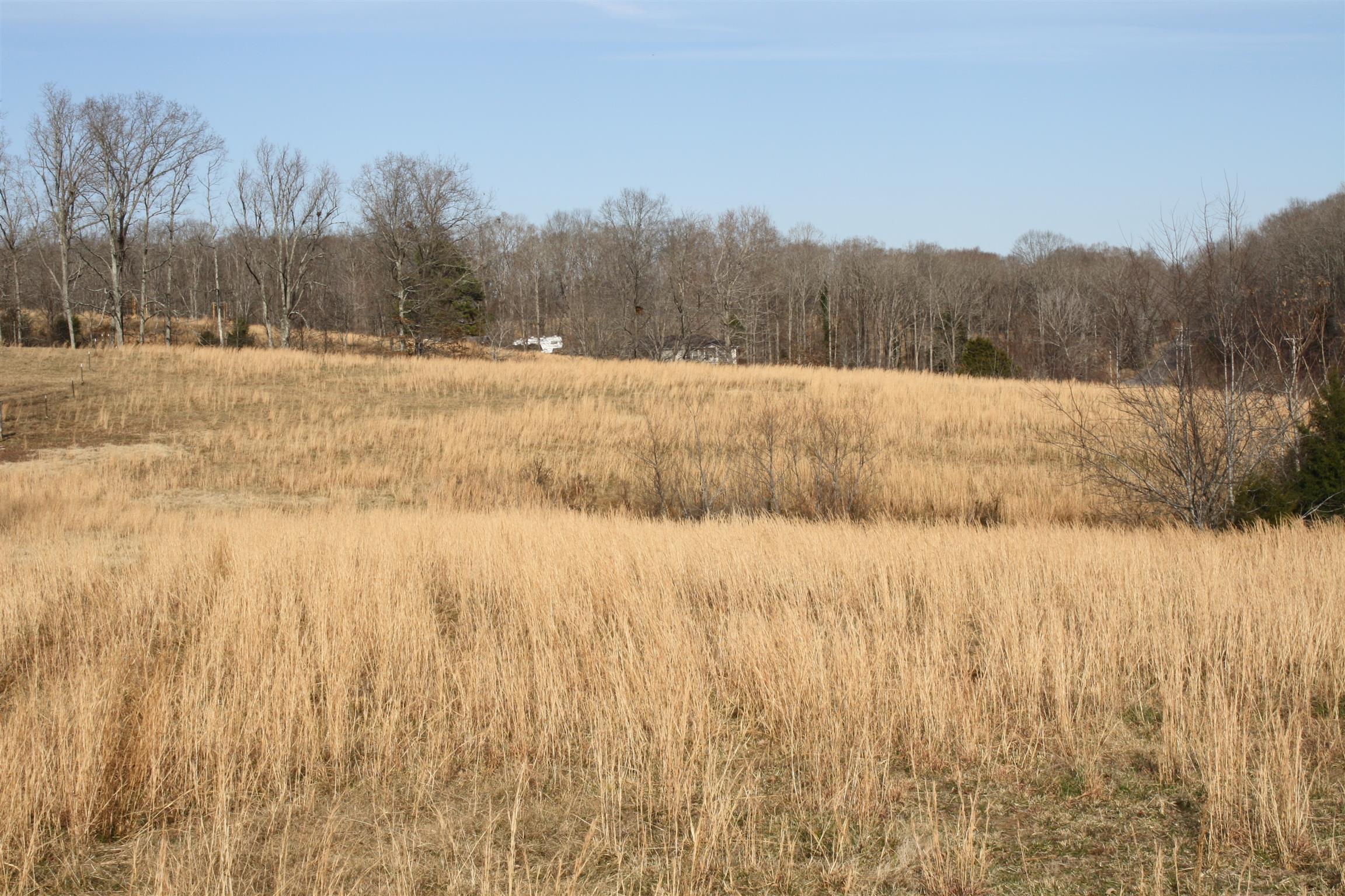 3941 Bold Springs Road McEwen, TN 37101 - Photo 26 of 29 Gallery Image 26