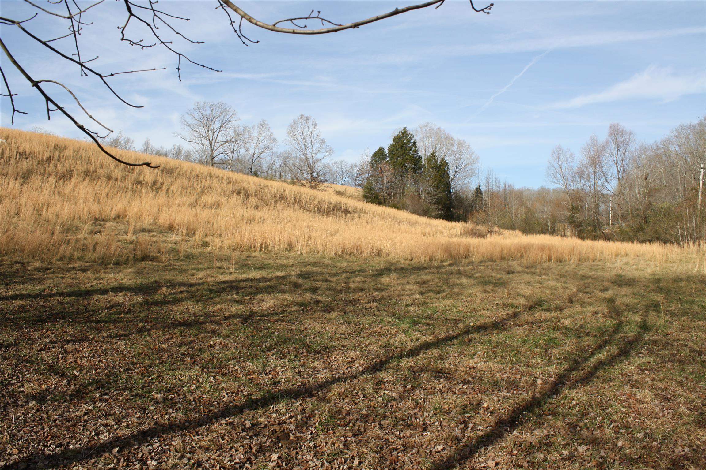 3941 Bold Springs Road McEwen, TN 37101 - Photo 28 of 29 Gallery Image 28
