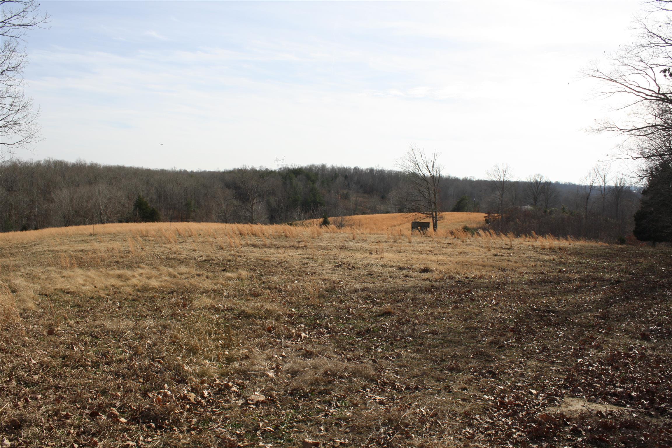 3941 Bold Springs Road McEwen, TN 37101 - Photo 29 of 29 Gallery Image 29