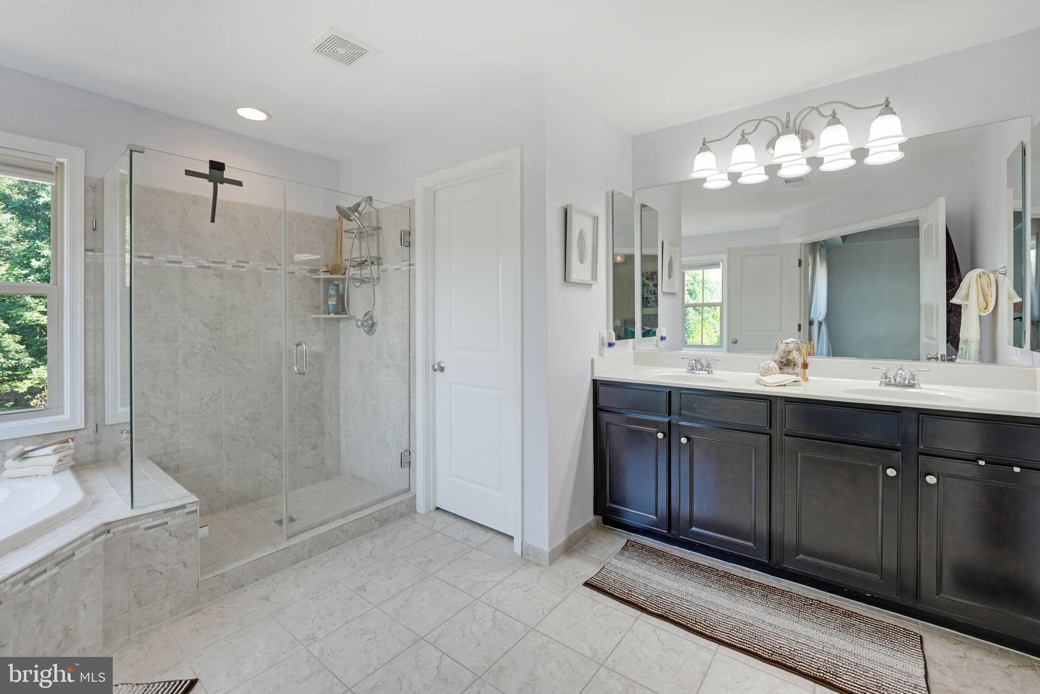23339 Tradewind Drive Brambleton, VA 20148 - Photo 24 of 54 Lovely bathroom