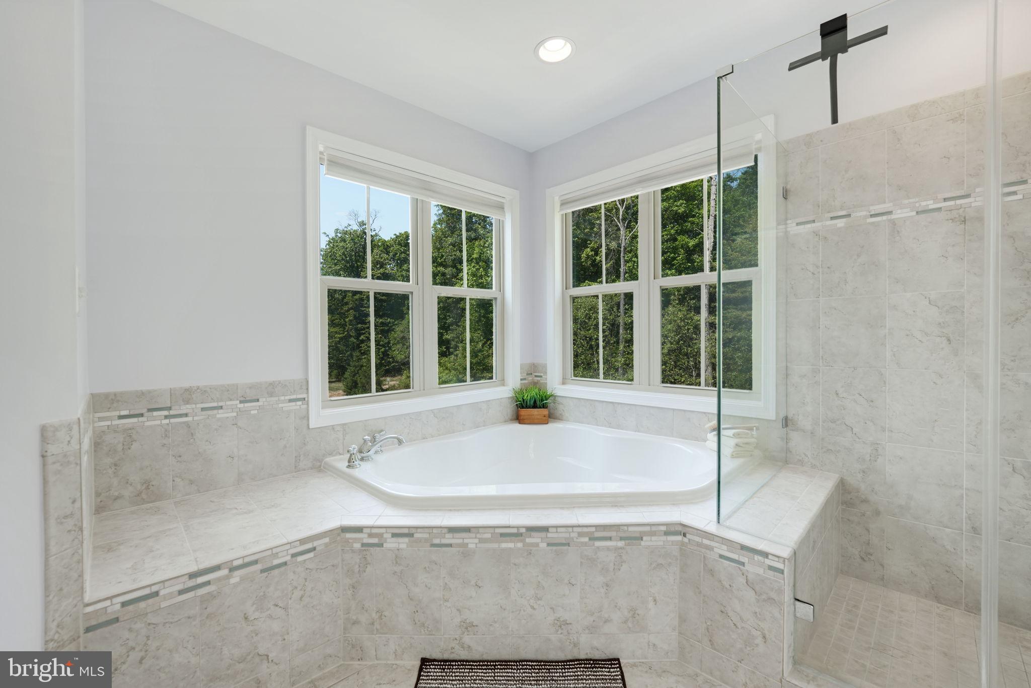 23339 Tradewind Drive Brambleton, VA 20148 - Photo 25 of 54 Soaking tub