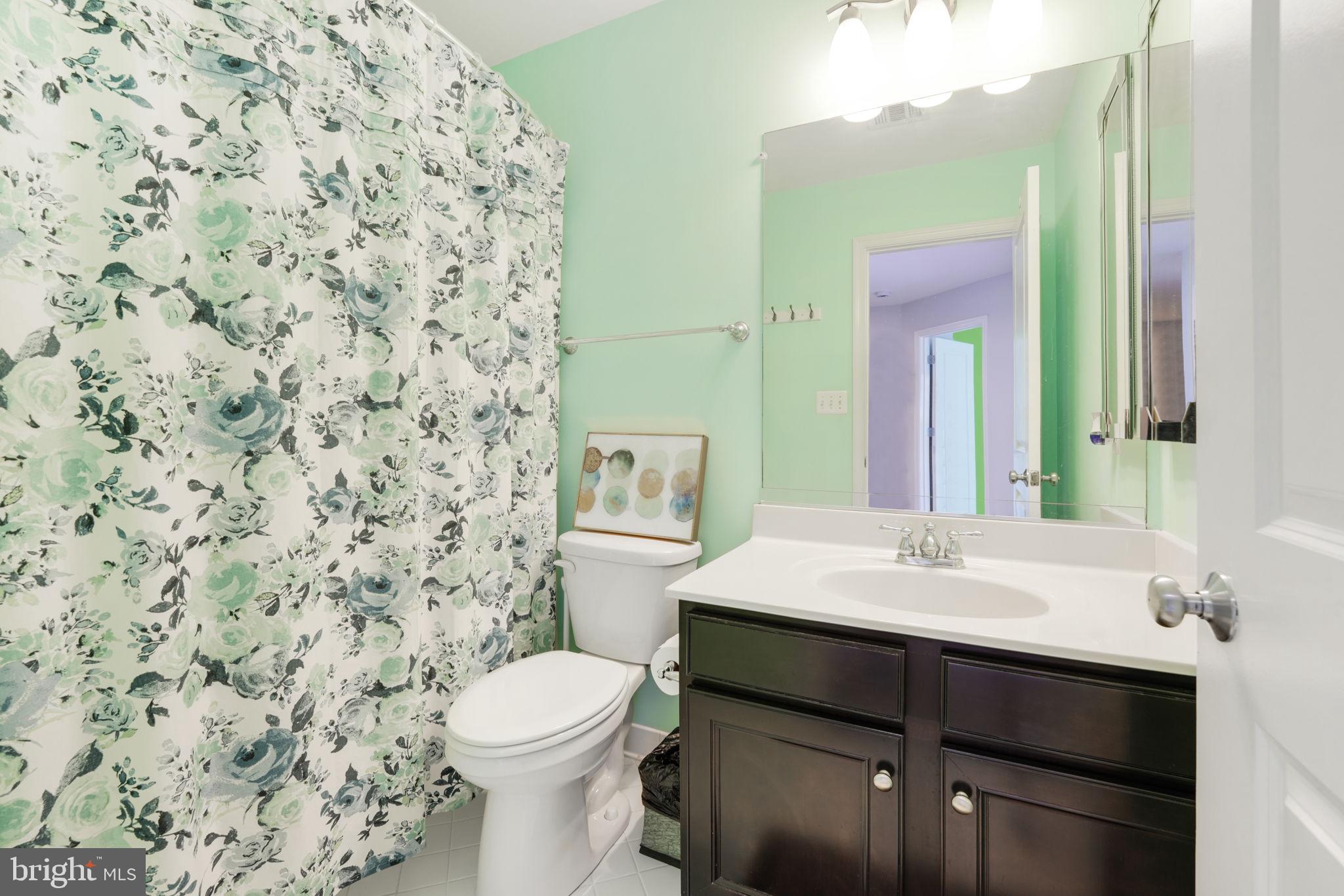 23339 Tradewind Drive Brambleton, VA 20148 - Photo 32 of 54 Full hall bathroom