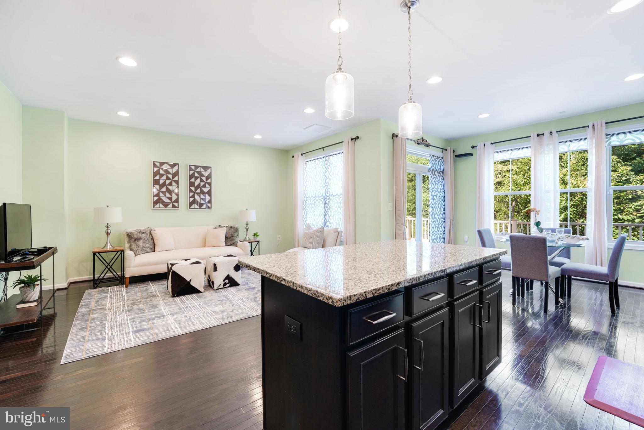 23339 Tradewind Drive Brambleton, VA 20148 - Photo 9 of 54 Sunshine!