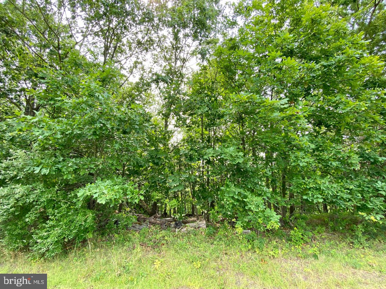 8/6 Wv 25411 Road, Unit ROUTE Berkeley Springs, WV 25411 - Photo 21 of 66