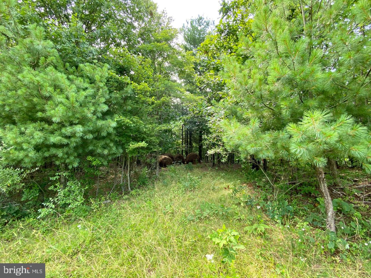 8/6 Wv 25411 Road, Unit ROUTE Berkeley Springs, WV 25411 - Photo 23 of 66