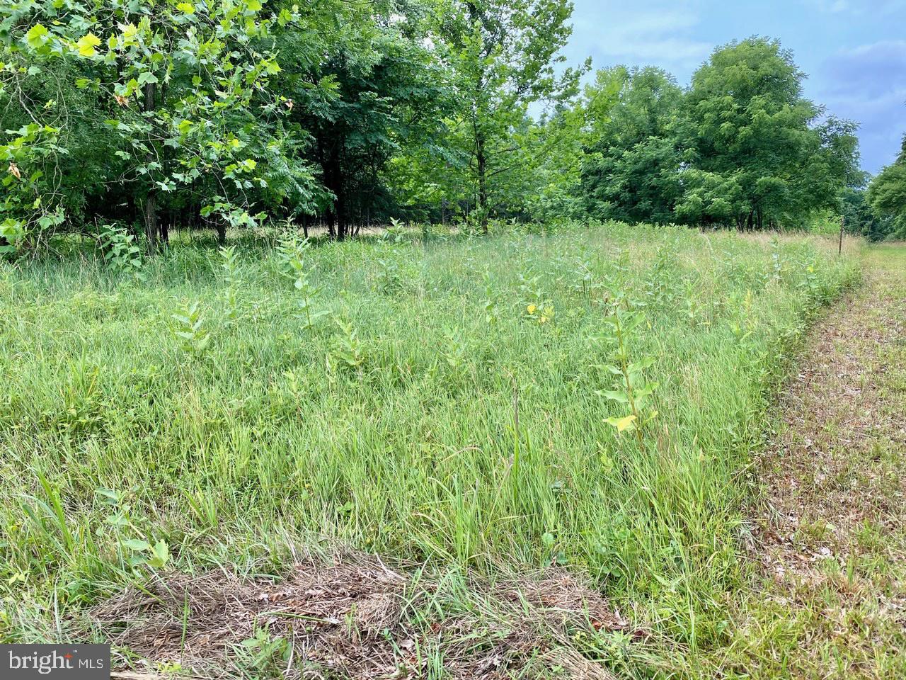 8/6 Wv 25411 Road, Unit ROUTE Berkeley Springs, WV 25411 - Photo 24 of 66 Property line shown at right