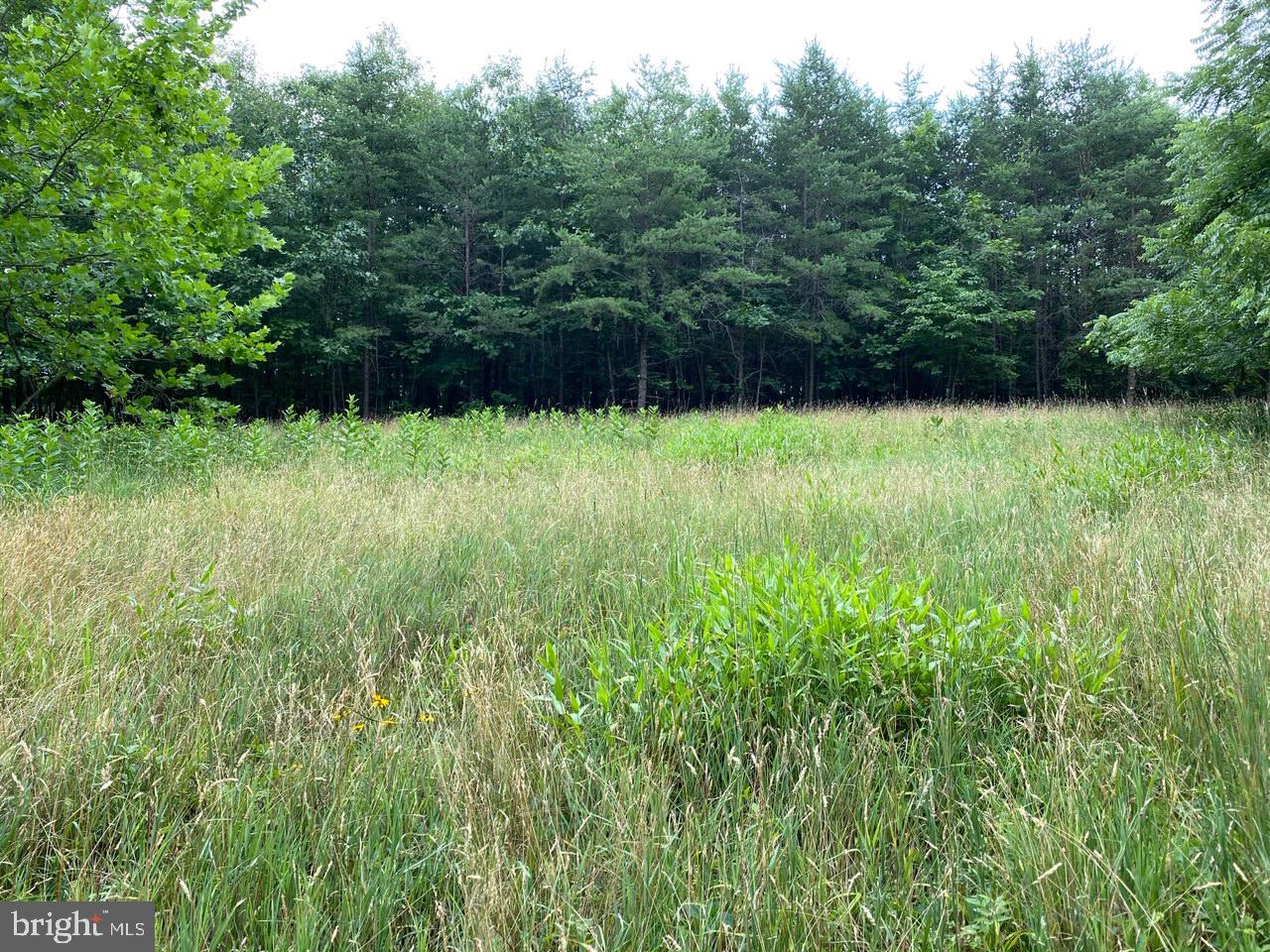 8/6 Wv 25411 Road, Unit ROUTE Berkeley Springs, WV 25411 - Photo 25 of 66