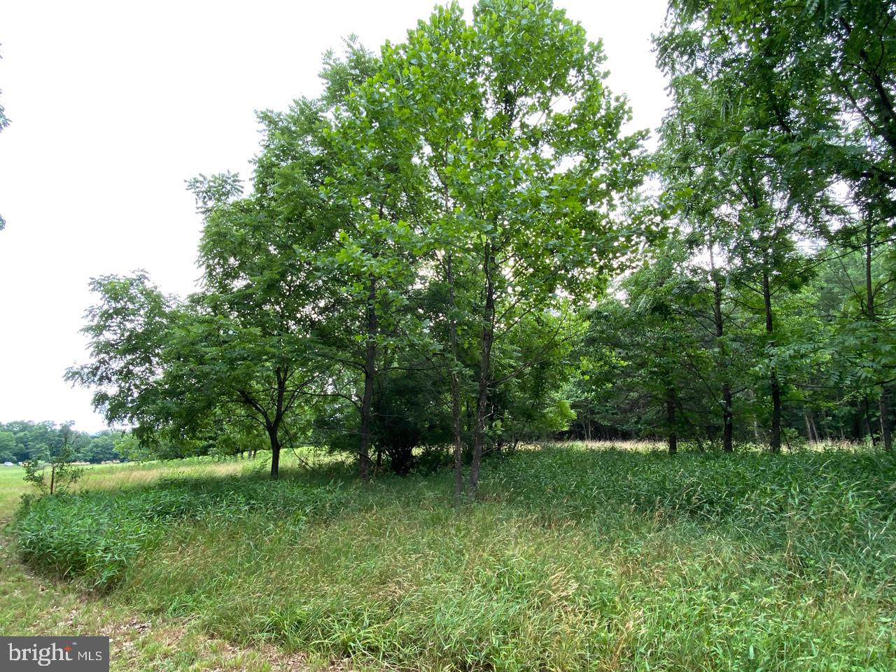 8/6 Wv 25411 Road, Unit ROUTE Berkeley Springs, WV 25411 - Photo 26 of 66