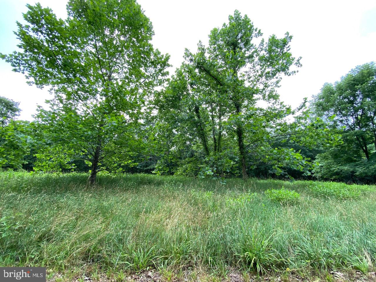 8/6 Wv 25411 Road, Unit ROUTE Berkeley Springs, WV 25411 - Photo 27 of 66