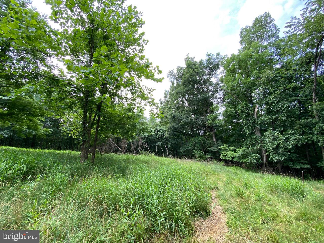 8/6 Wv 25411 Road, Unit ROUTE Berkeley Springs, WV 25411 - Photo 28 of 66 Property left of marker