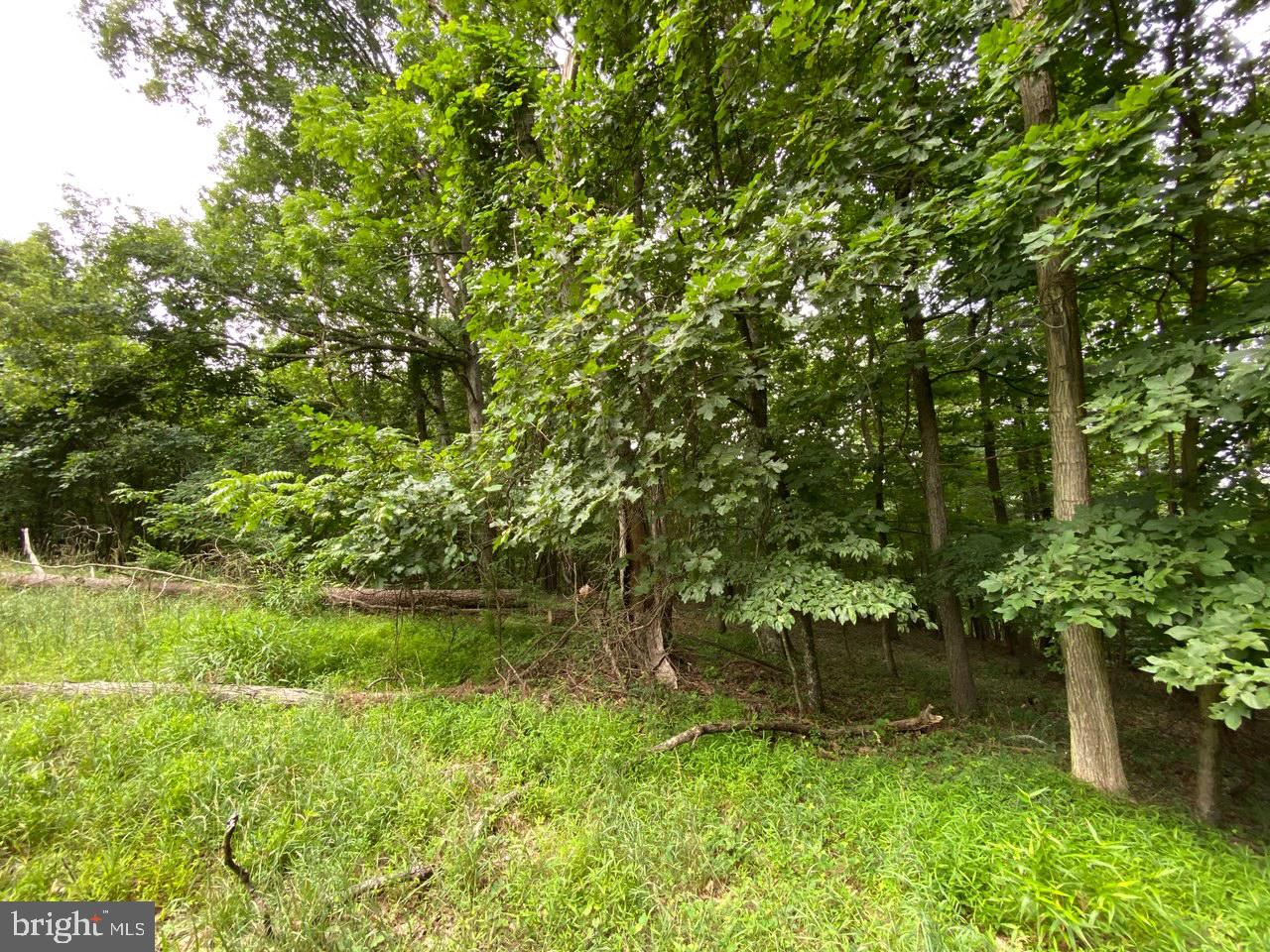 8/6 Wv 25411 Road, Unit ROUTE Berkeley Springs, WV 25411 - Photo 30 of 66