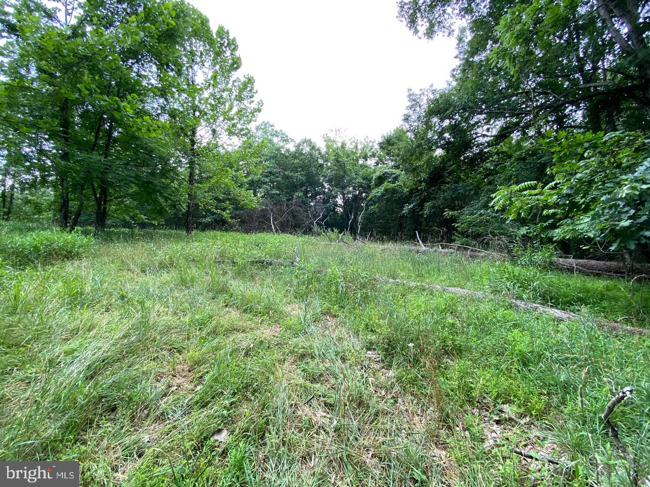 8/6 Wv 25411 Road, Unit ROUTE Berkeley Springs, WV 25411 - Photo 31 of 66