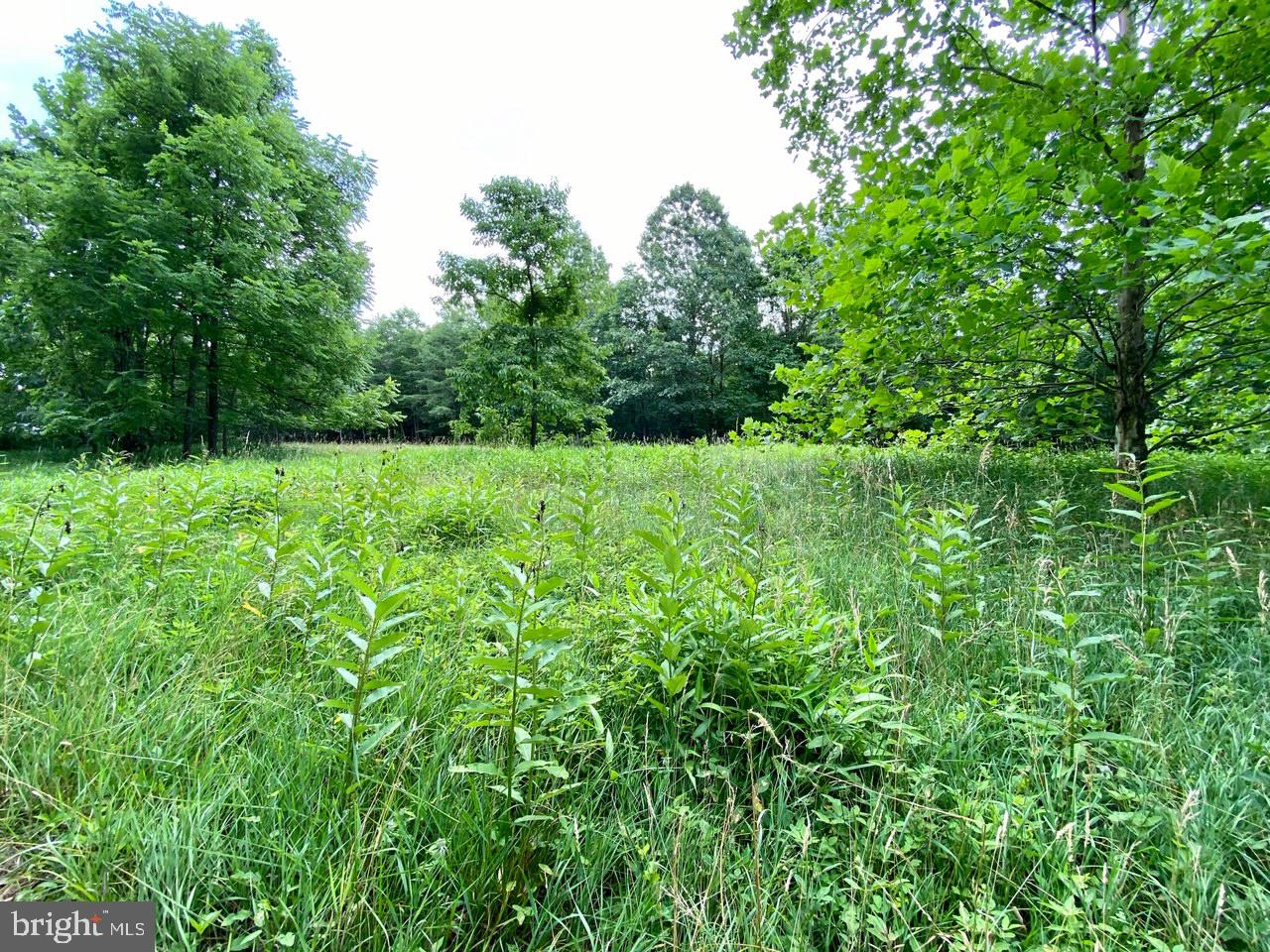 8/6 Wv 25411 Road, Unit ROUTE Berkeley Springs, WV 25411 - Photo 33 of 66