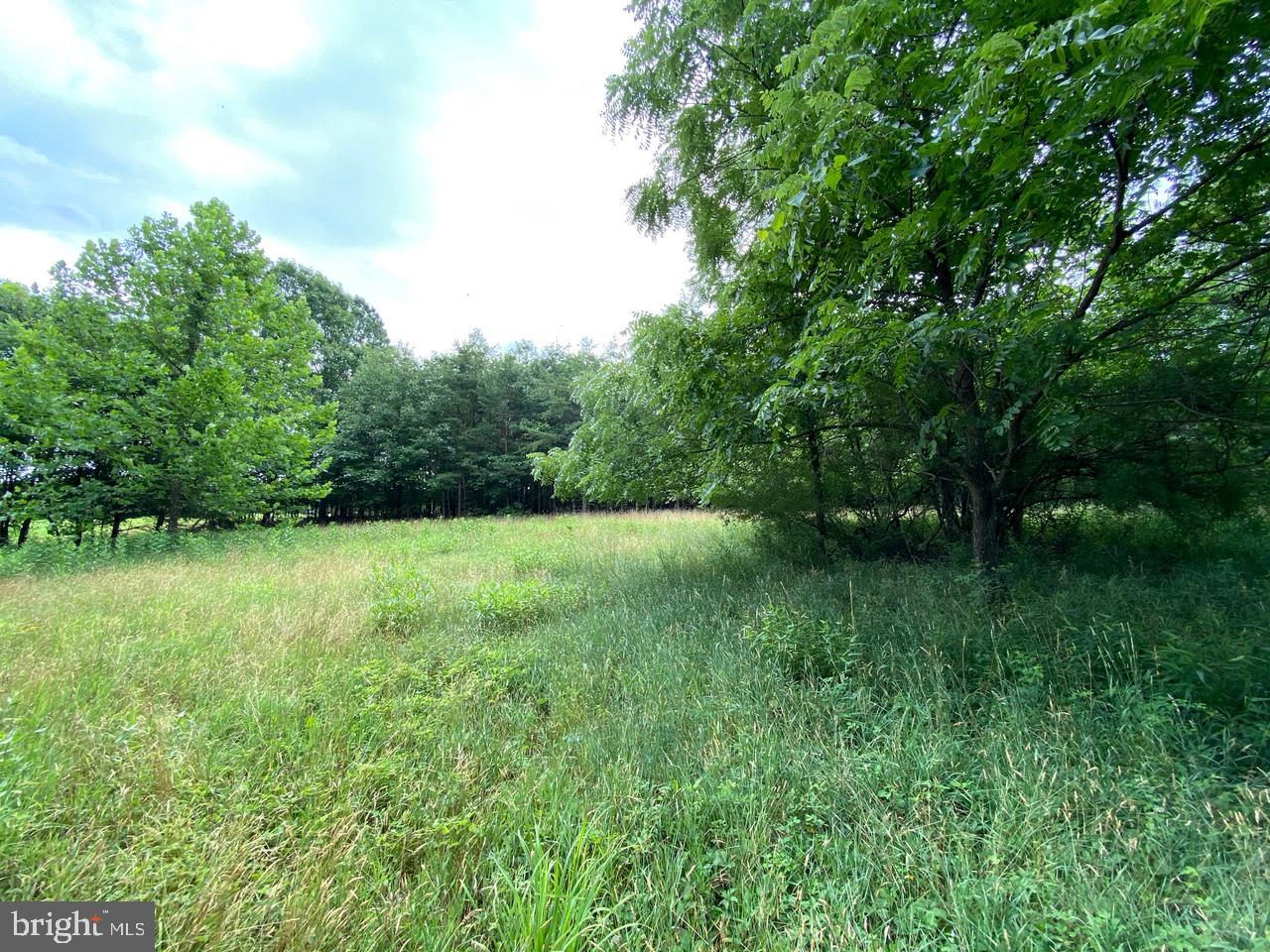 8/6 Wv 25411 Road, Unit ROUTE Berkeley Springs, WV 25411 - Photo 34 of 66