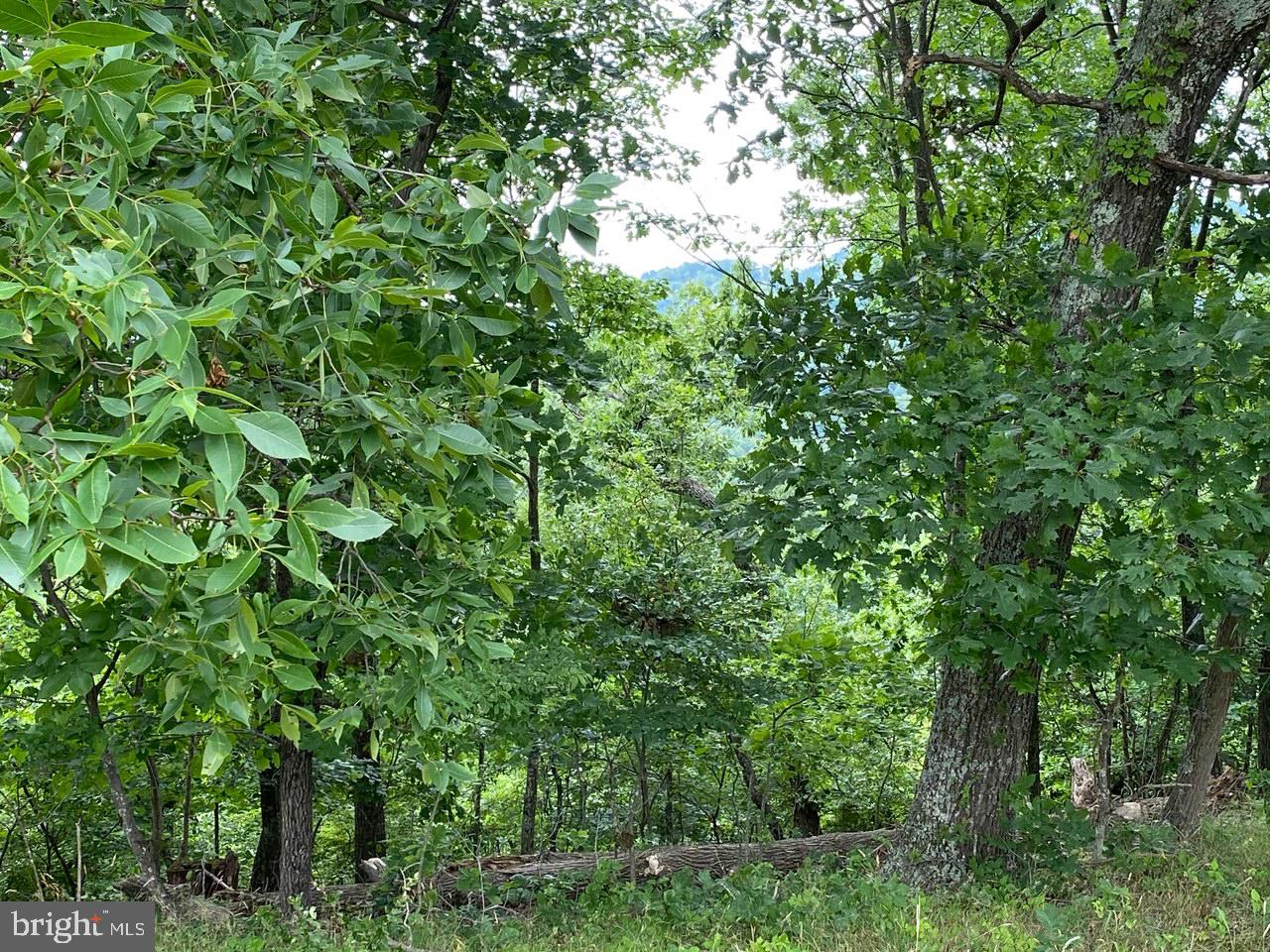 8/6 Wv 25411 Road, Unit ROUTE Berkeley Springs, WV 25411 - Photo 5 of 66