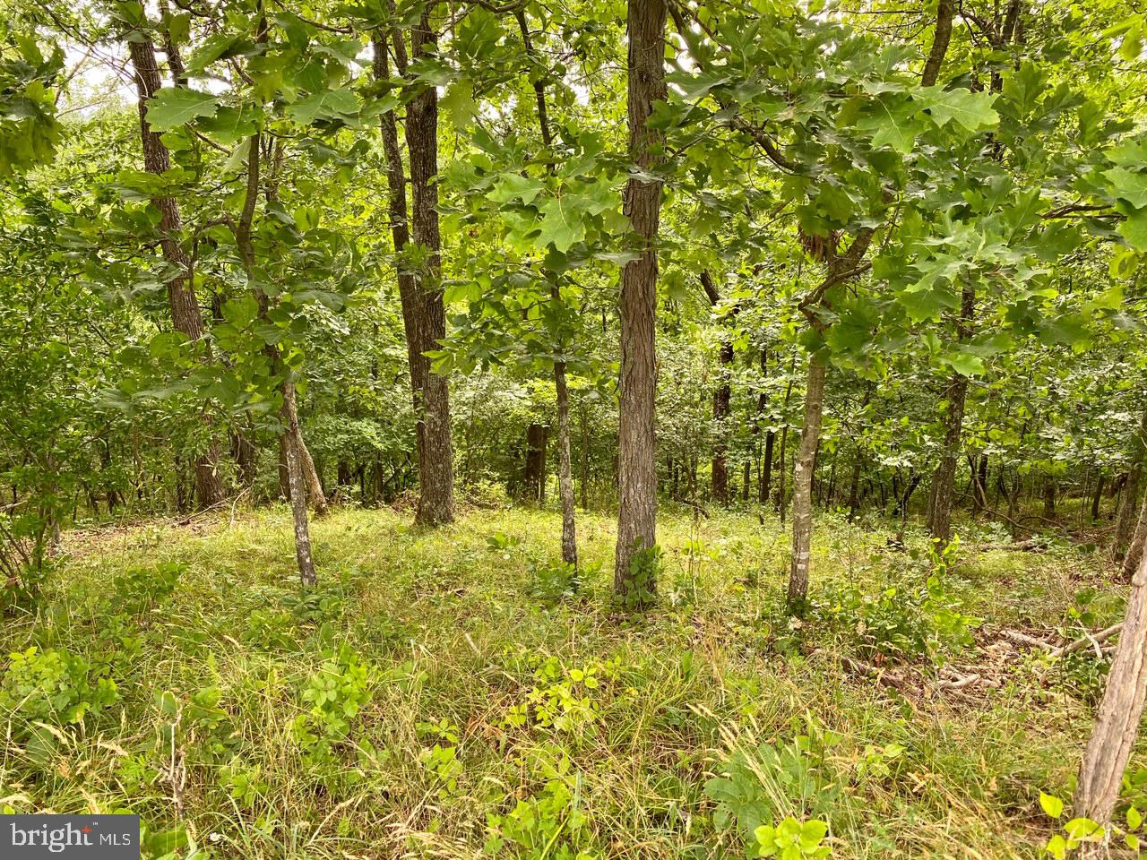 8/6 Wv 25411 Road, Unit ROUTE Berkeley Springs, WV 25411 - Photo 47 of 66