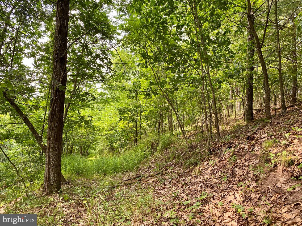 8/6 Wv 25411 Road, Unit ROUTE Berkeley Springs, WV 25411 - Photo 48 of 66