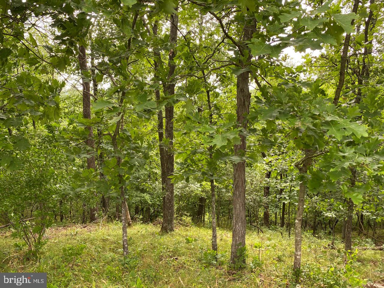 8/6 Wv 25411 Road, Unit ROUTE Berkeley Springs, WV 25411 - Photo 49 of 66