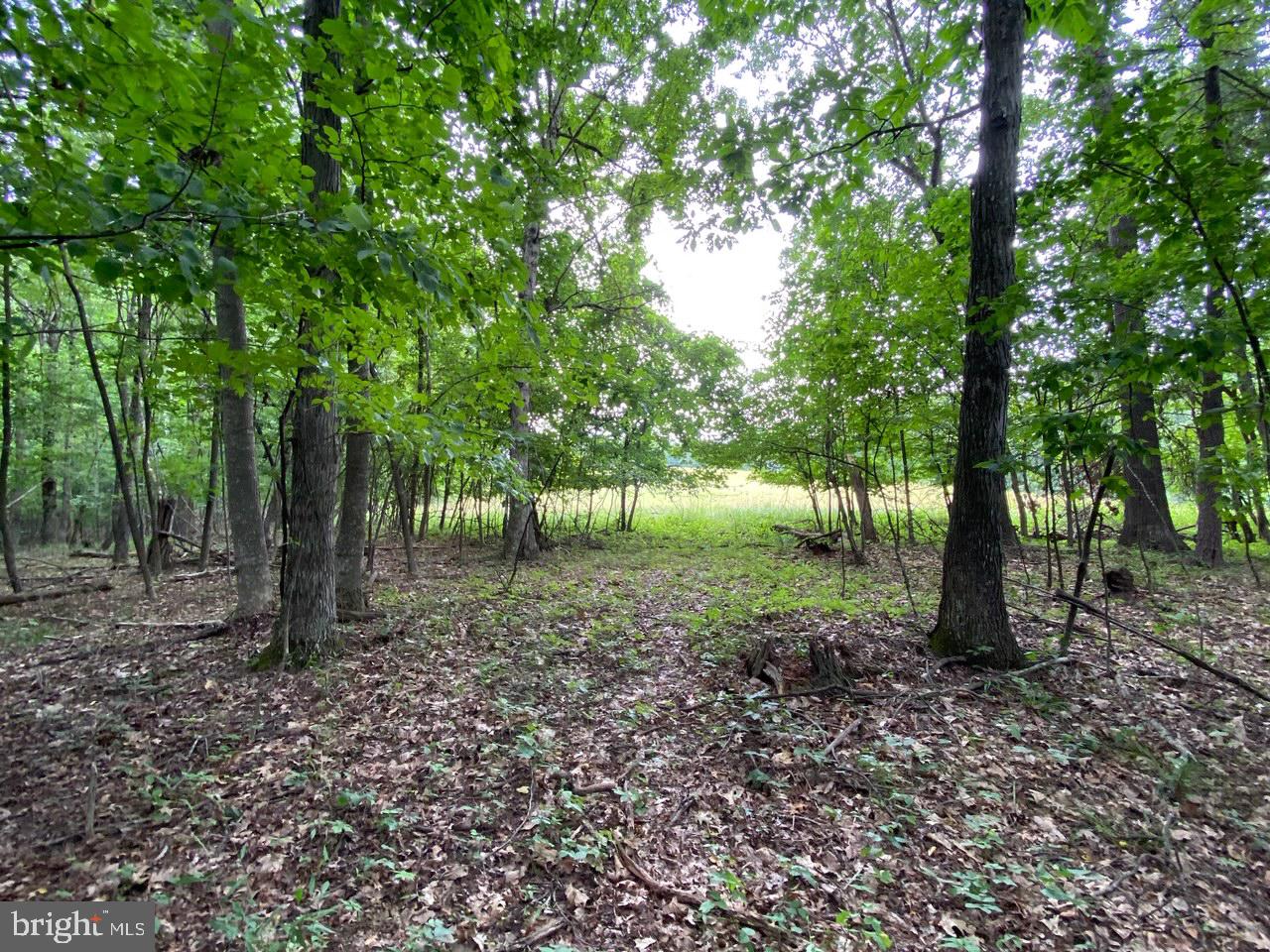 8/6 Wv 25411 Road, Unit ROUTE Berkeley Springs, WV 25411 - Photo 50 of 66