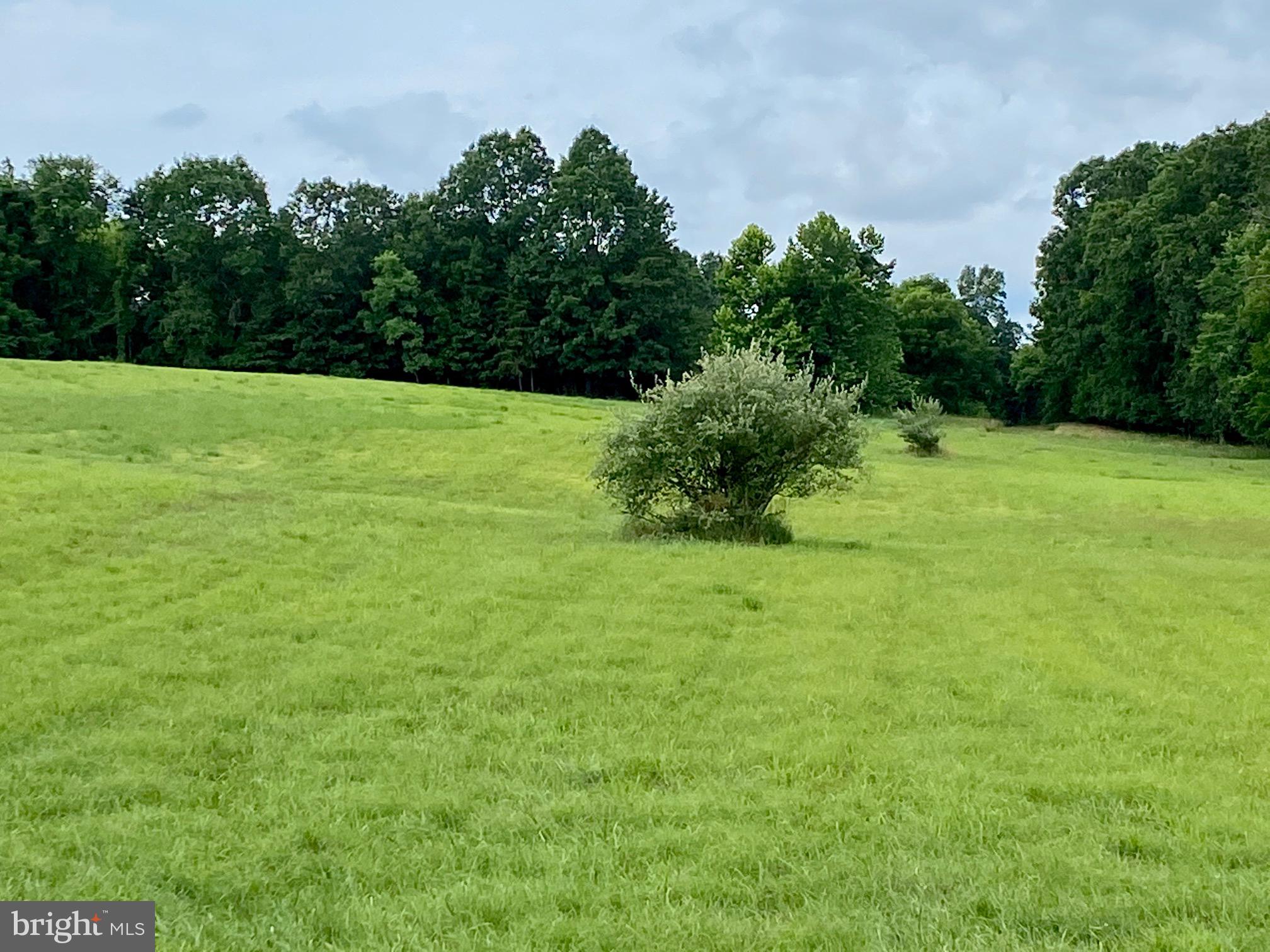 8/6 Wv 25411 Road, Unit ROUTE Berkeley Springs, WV 25411 - Photo 6 of 66 Property left of small tree line