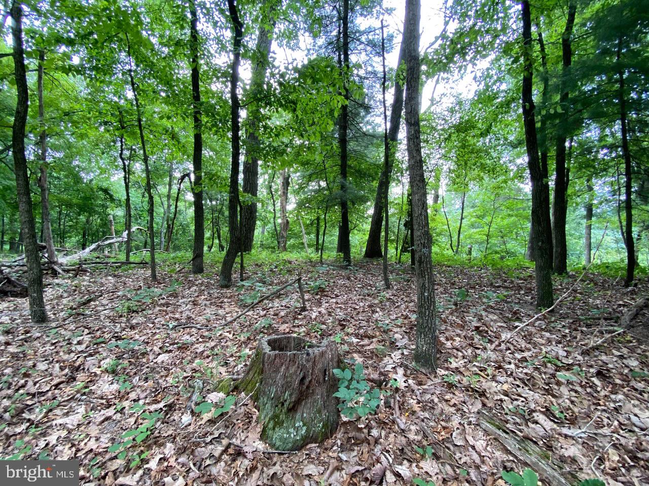 8/6 Wv 25411 Road, Unit ROUTE Berkeley Springs, WV 25411 - Photo 51 of 66