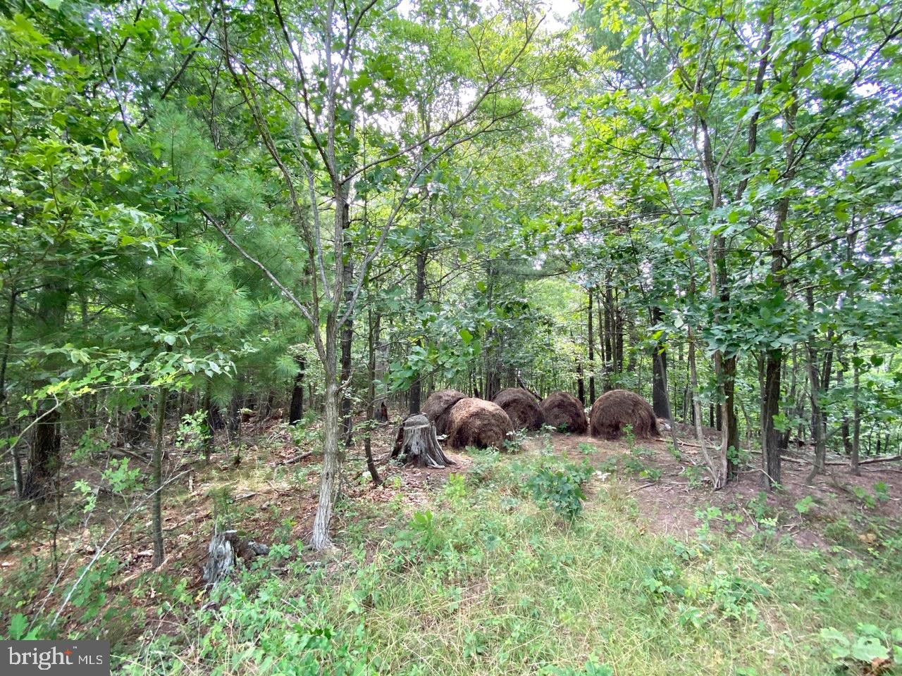 8/6 Wv 25411 Road, Unit ROUTE Berkeley Springs, WV 25411 - Photo 54 of 66