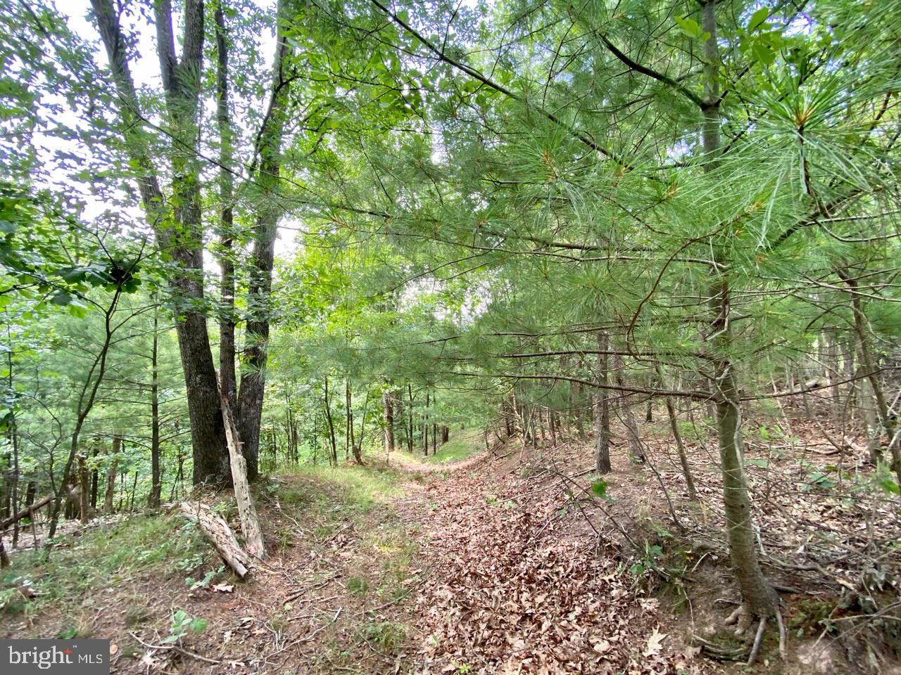 8/6 Wv 25411 Road, Unit ROUTE Berkeley Springs, WV 25411 - Photo 55 of 66